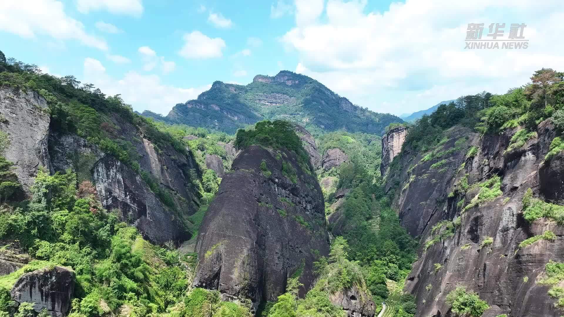 “万里茶道”的新生机