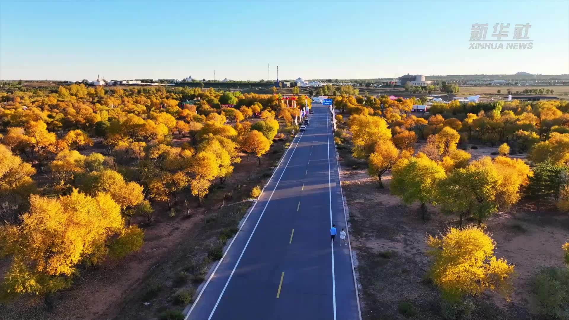 千城胜景｜金秋鄂尔多斯美