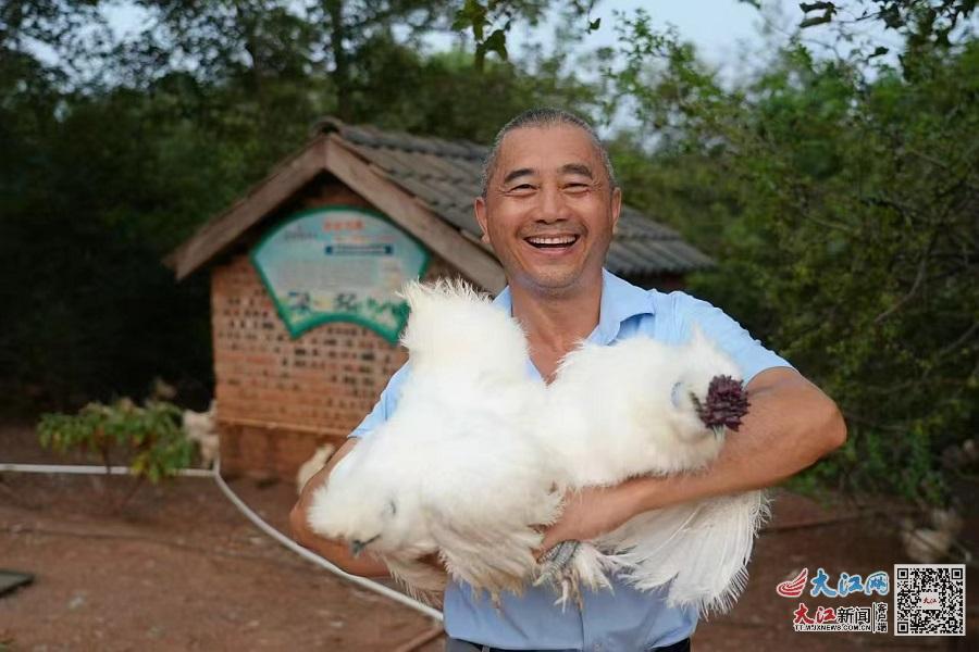 农户分享乌鸡销量提高的喜悦（资料图）