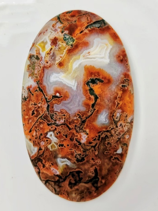 夏存新藏石《红梅闹春》