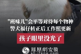 警犬福仔转正后工作照更新，孩子眼里没光了