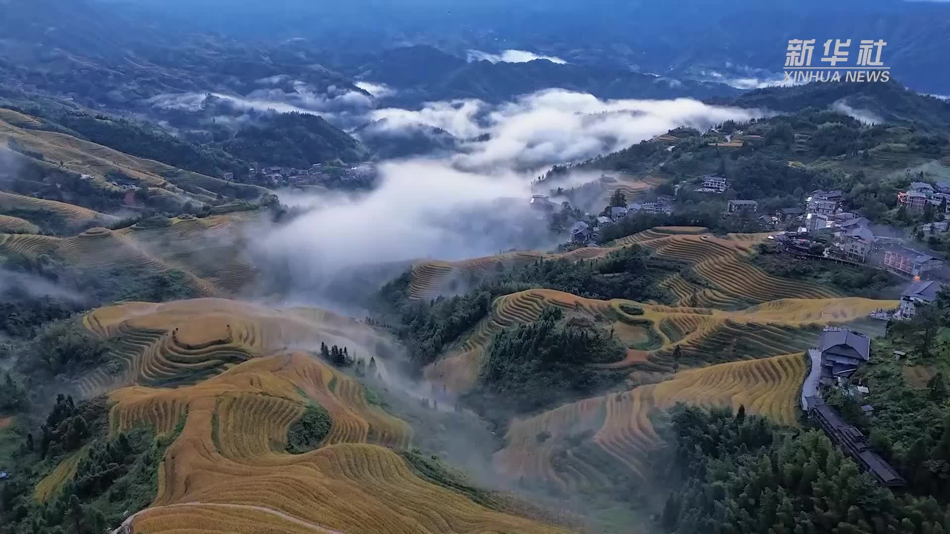 广西龙胜：金秋梯田美