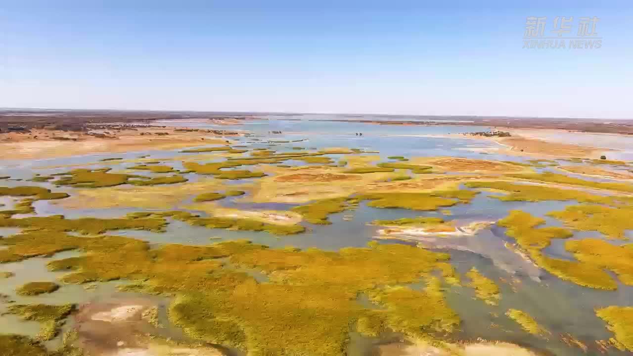 千城胜景｜吉林洮南：白鹭翩跹四海湖