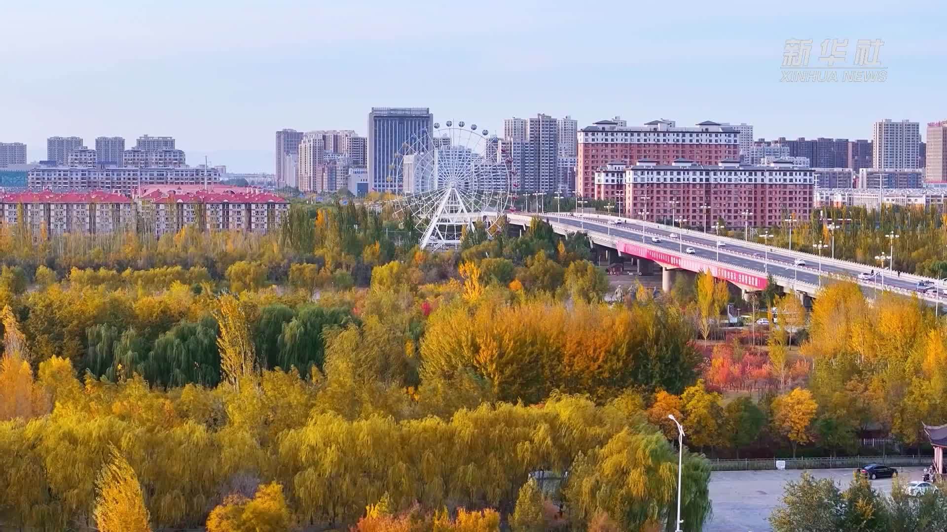 内蒙古河套地区：层林尽染 秋韵正浓