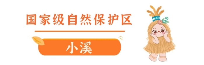 喜迎旅发会︱“福福”、“蓉蓉”喊你走进永顺，“湘”见芙蓉镇！