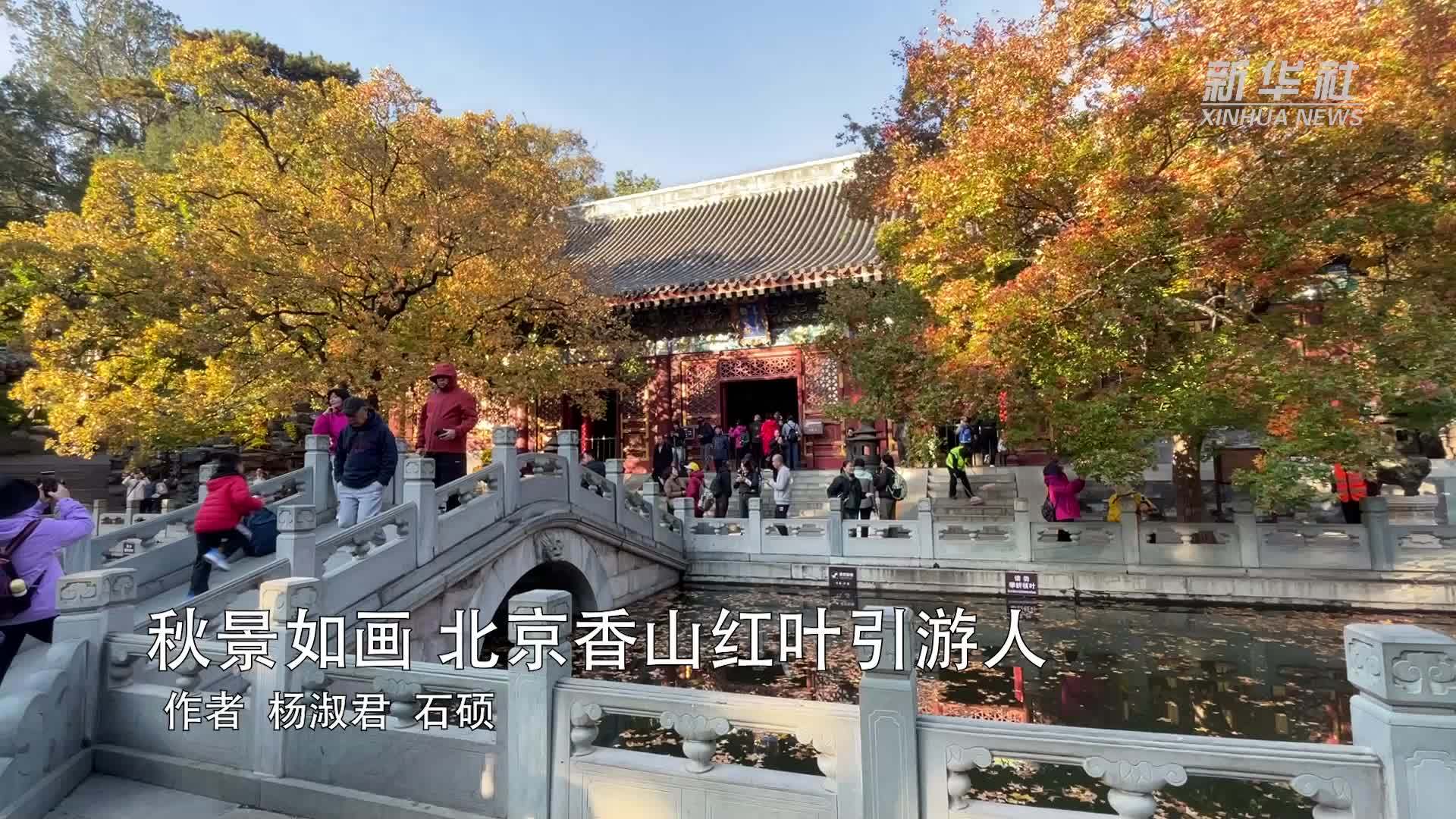 秋景如画 北京香山红叶引游人