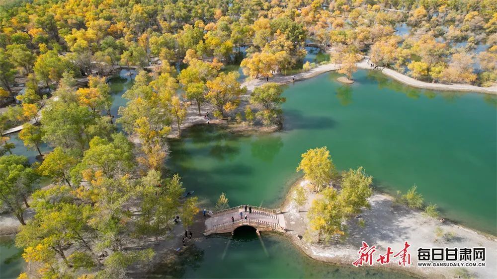 酒泉市金塔沙漠胡杨林景区万亩生态胡杨林层林尽染，景美如画。新甘肃&middot;每日甘肃网通讯员　曹红祖　梁蕊　侯亚楠　摄影