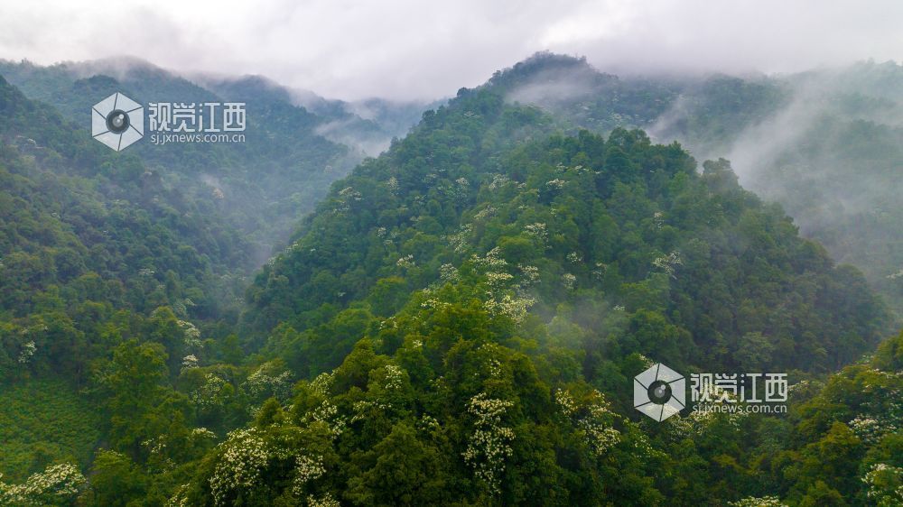 图片来源：视觉江西