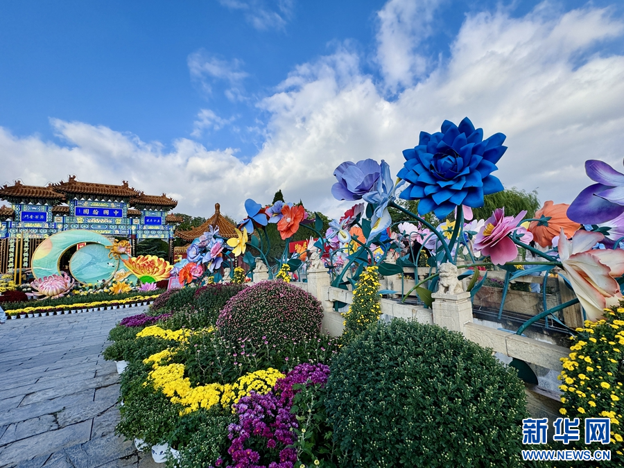 10月18日，河南开封，中国翰园碑林景区外展示的菊花造型场景。