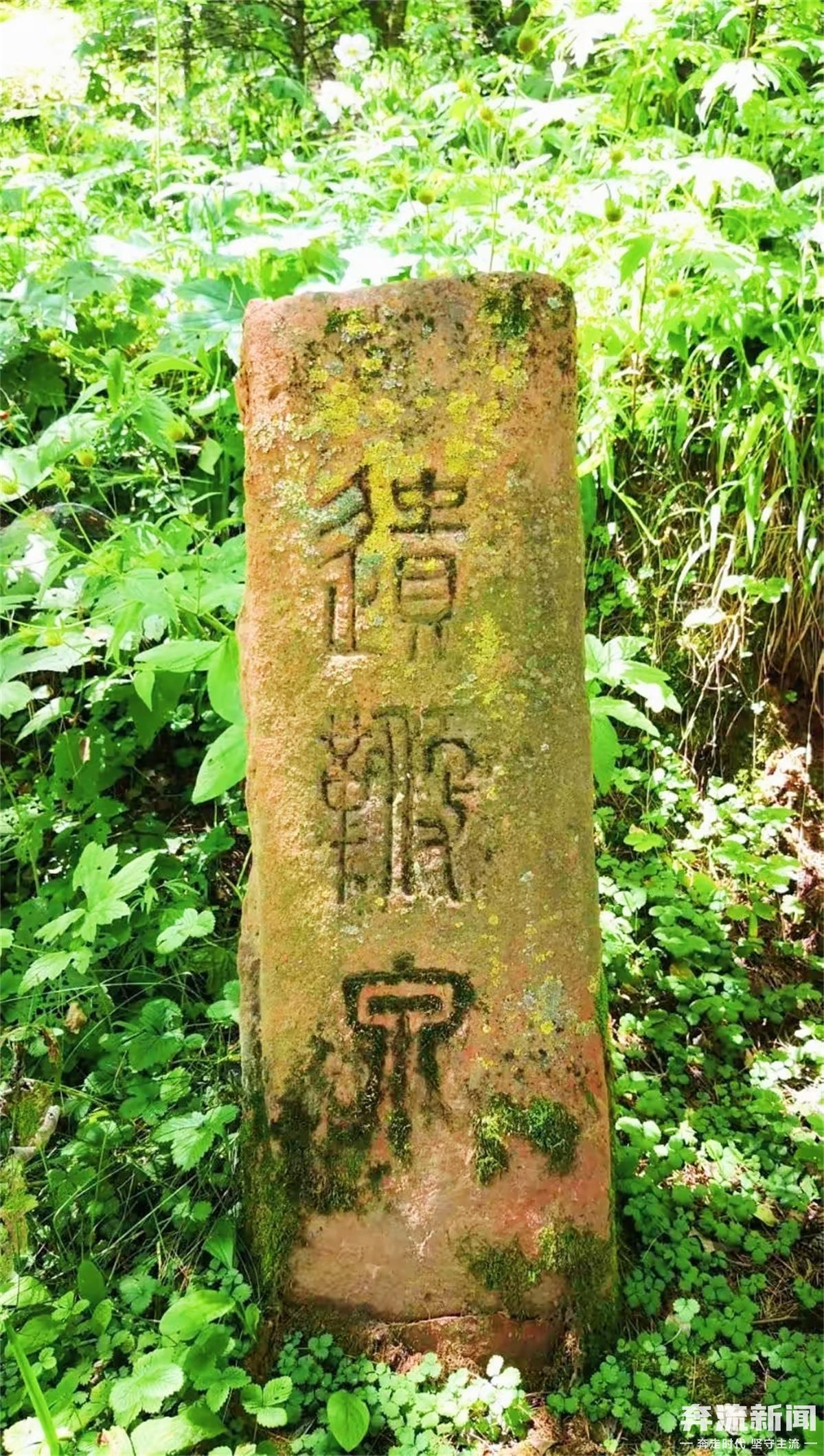 ▲品字泉中的遗鞭泉