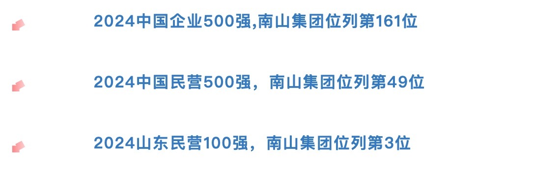 南山集团上榜山东百强企业名单