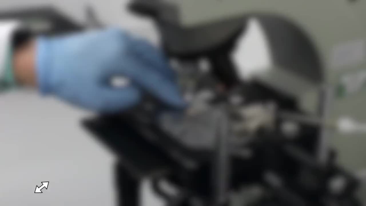 鉴证｜网传俄罗斯指控美国研制针对特定族群的“基因武器”？