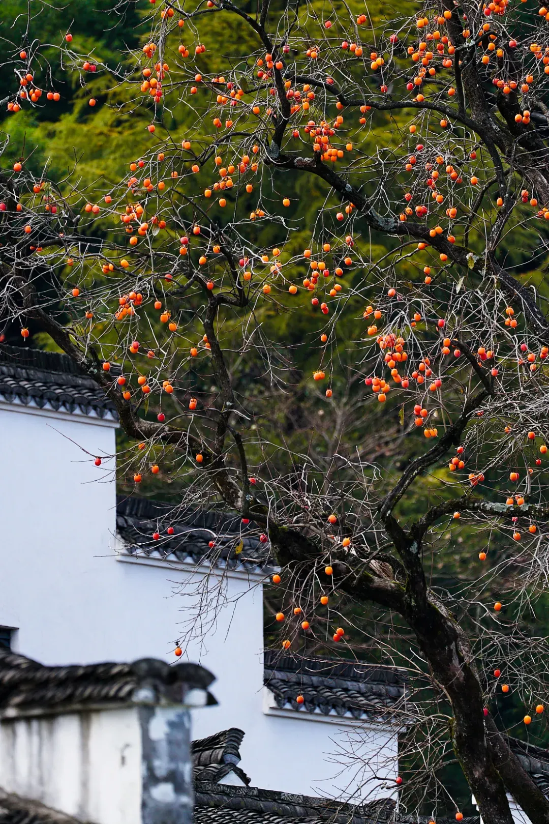 图/视觉中国