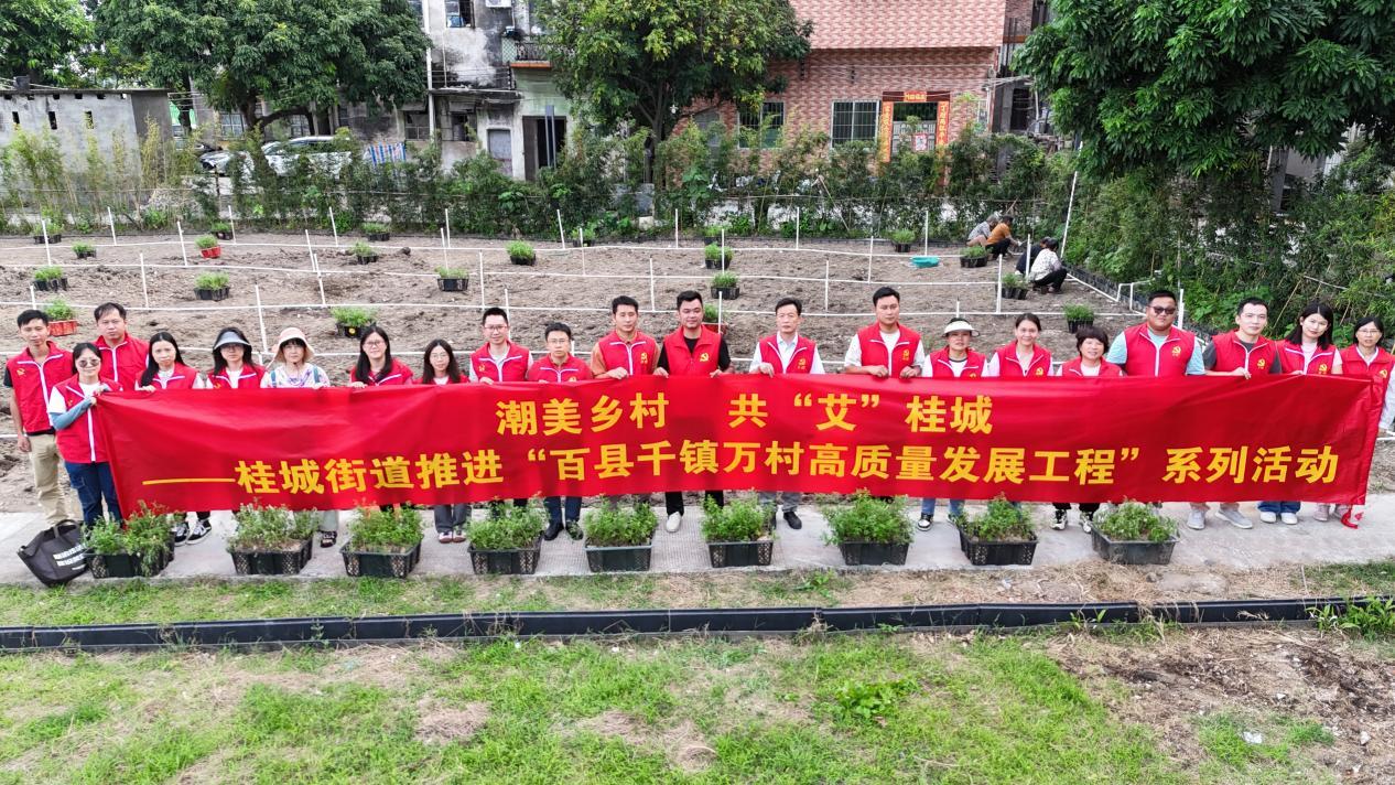 图为:共“艾”桂城—桂城街道推进“百县千镇万村高质量发展工程”系列活动举行。