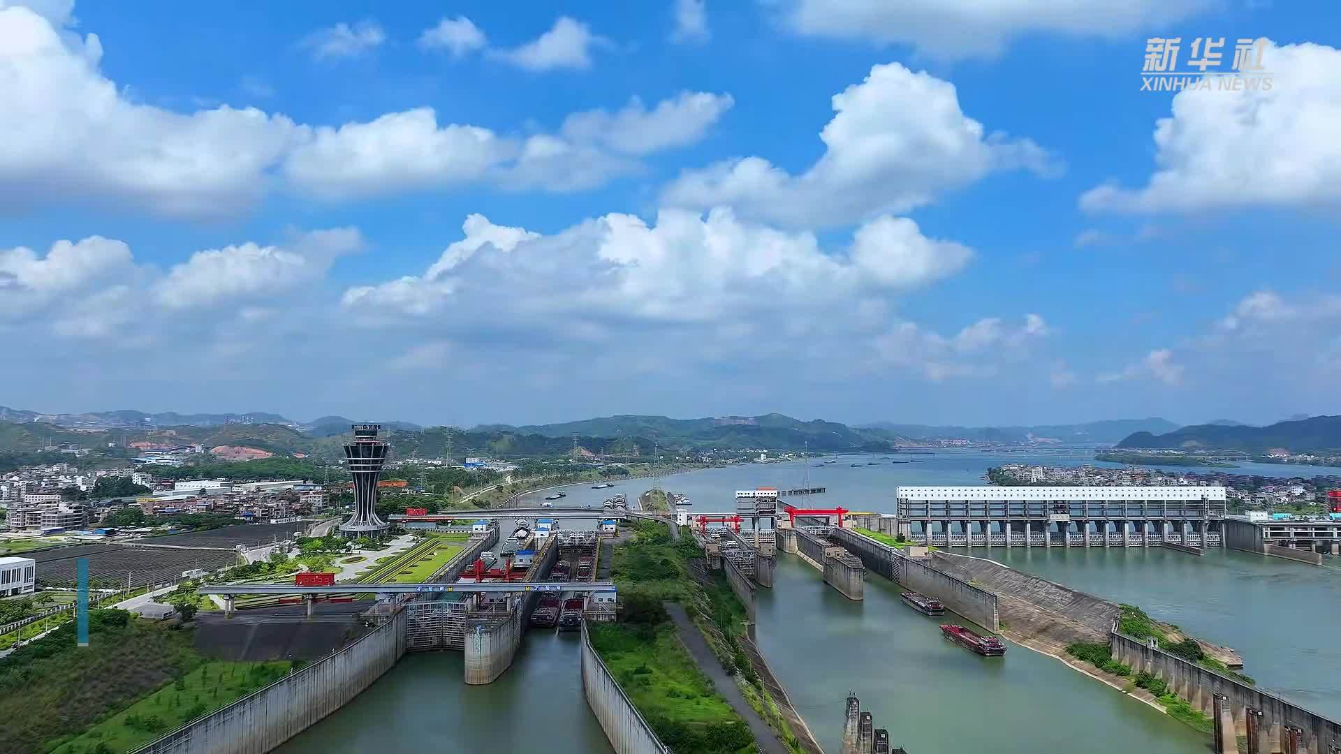 珠江水运经济回升  长洲枢纽船闸货物通过量超1.83亿吨