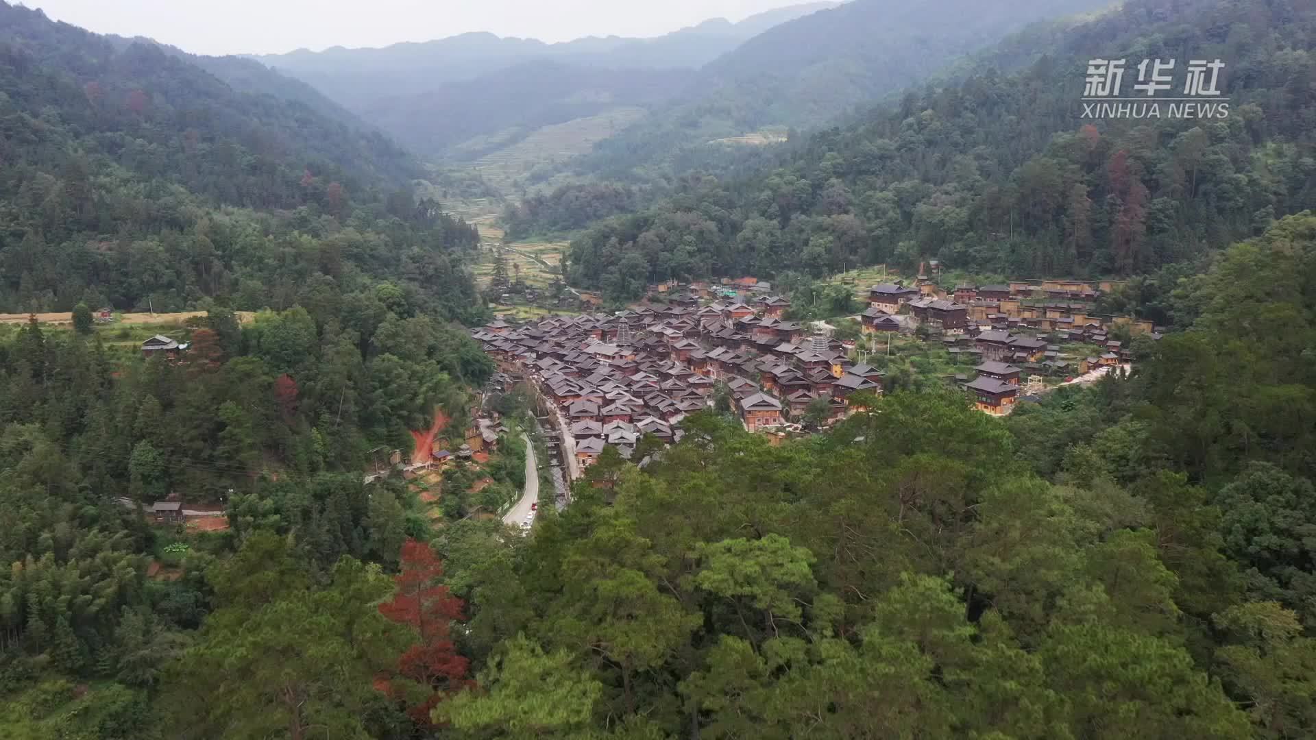 贵州从江：侗寨禾晾“晒秋”引客来