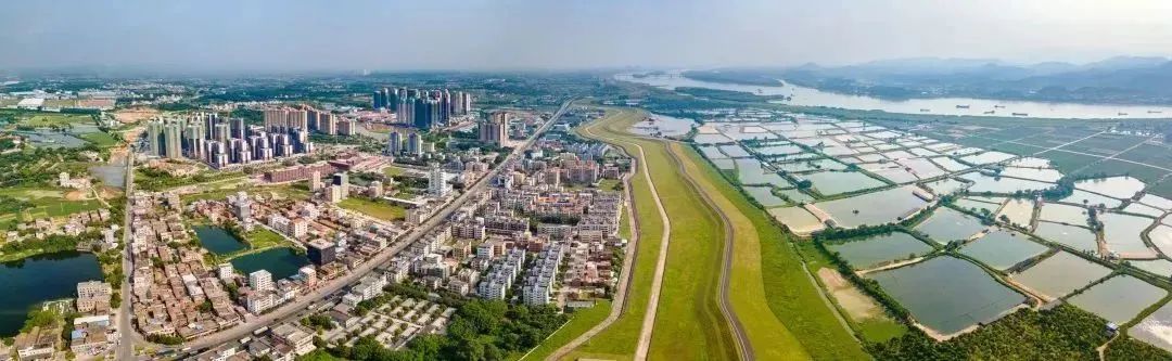 ▲三水区大塘镇。