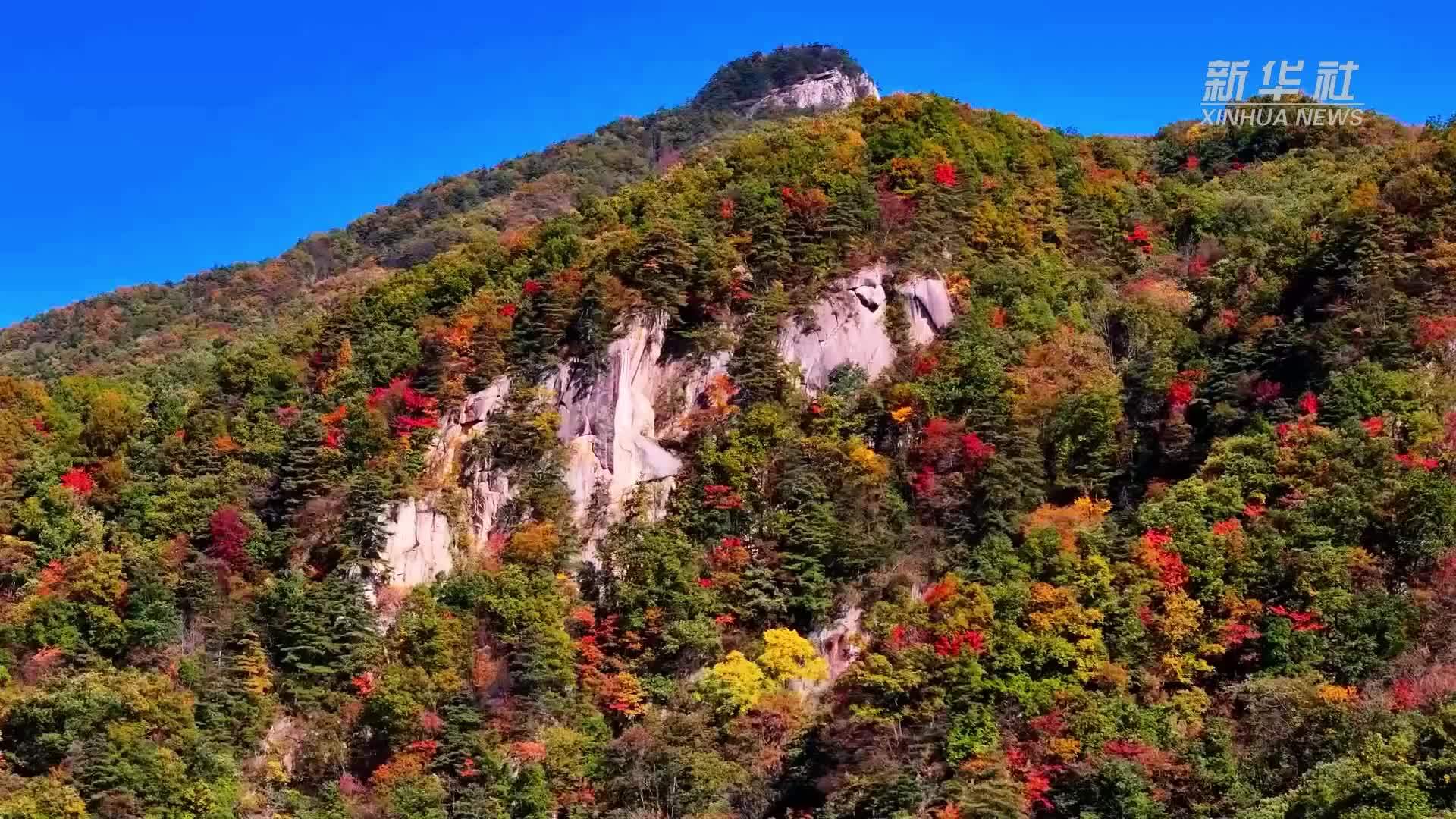 河南栾川：一起感受秋天的美