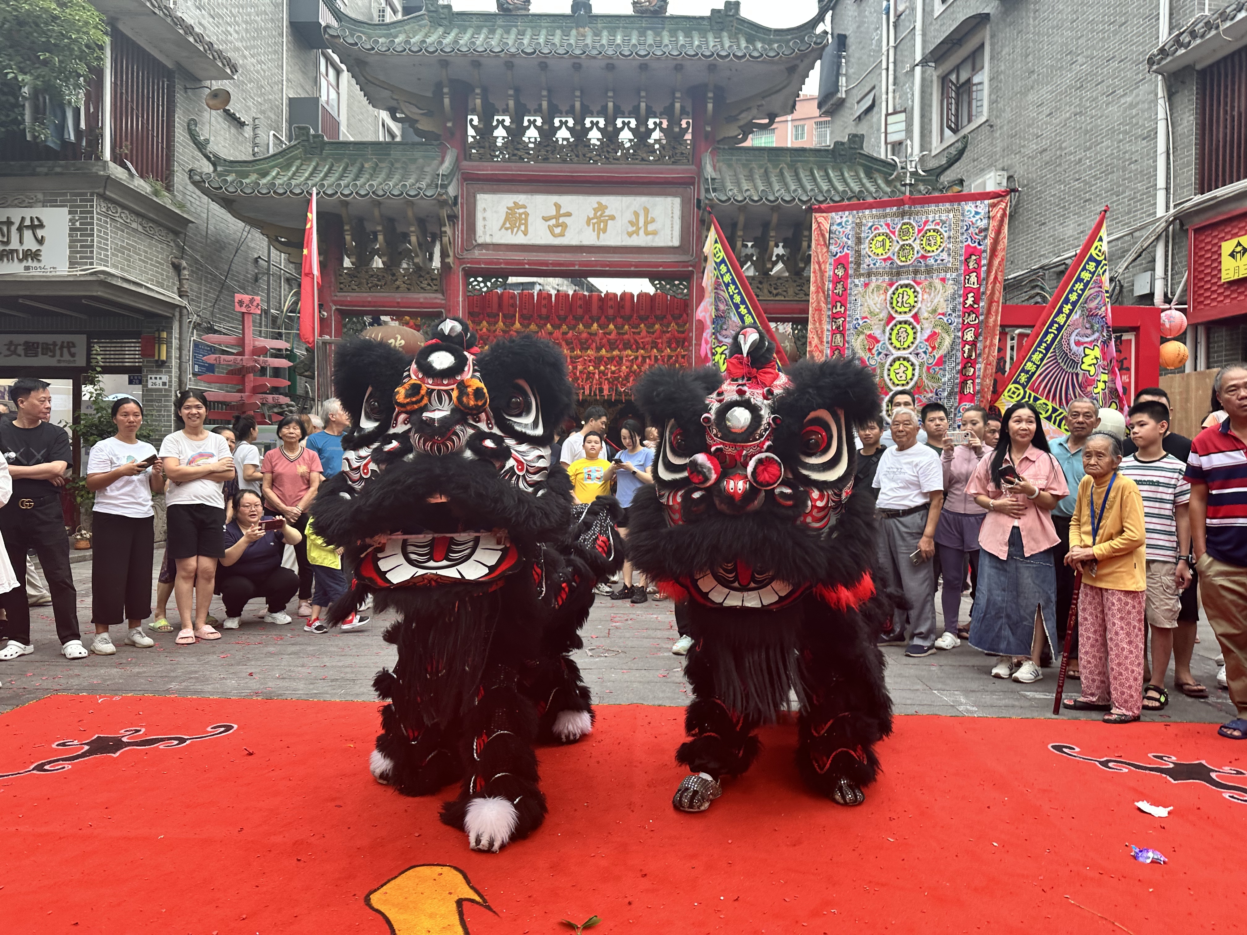 来了就是“深圳狮” 西乡街道西乡社区为深汕虎狮办下“深户”