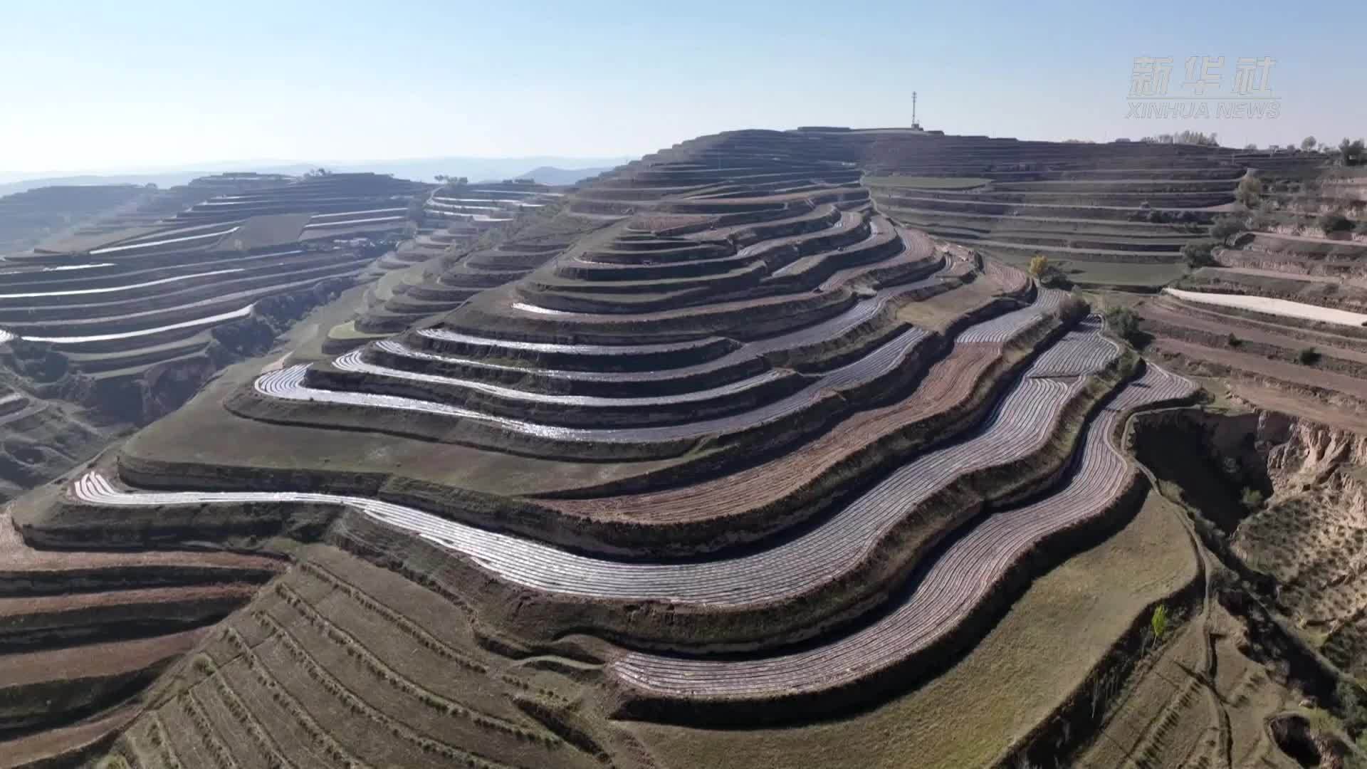 甘肃定西：抢农时抓“墒”机 农田趁早穿“冬衣”