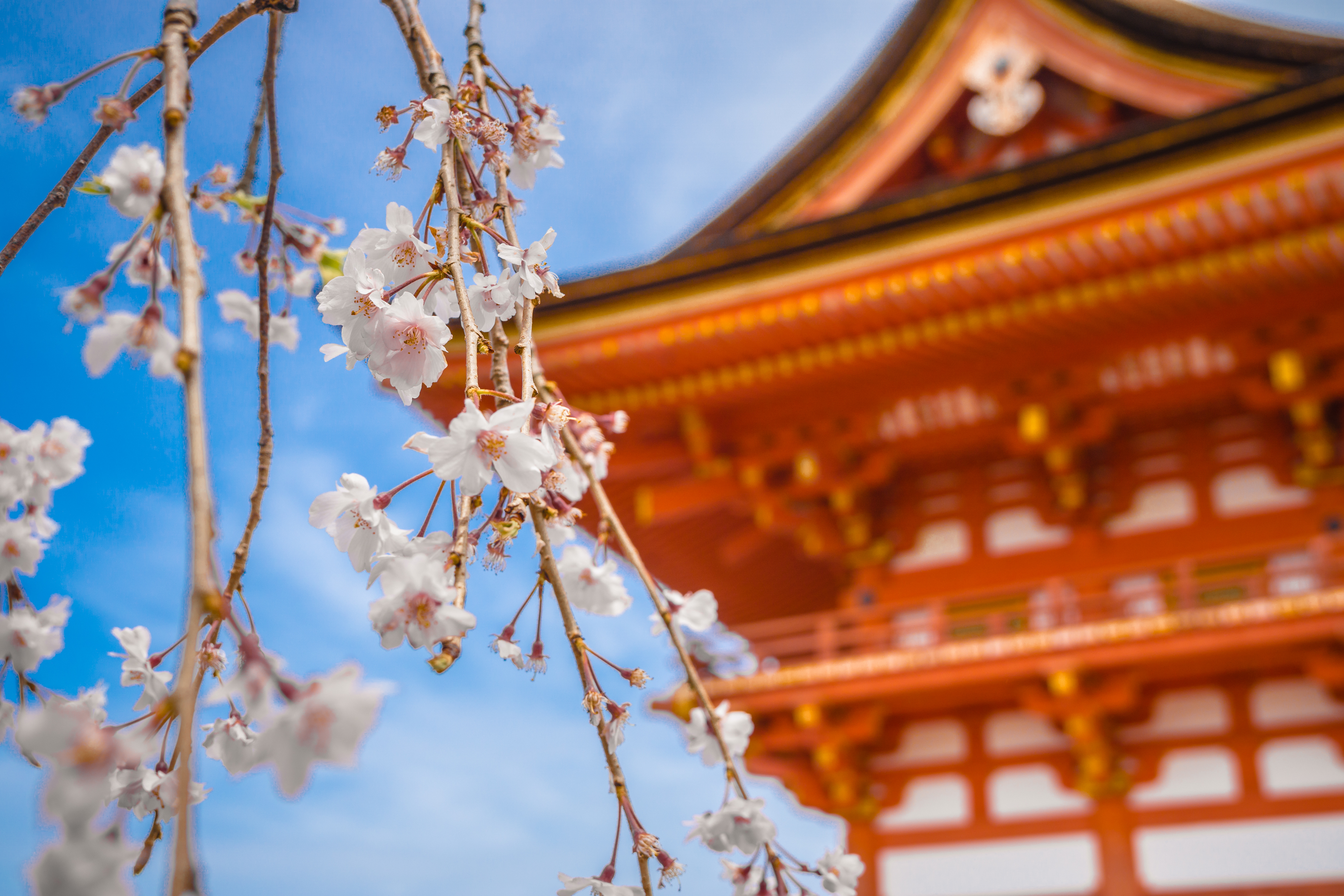跟着日本酒去旅行·京都篇