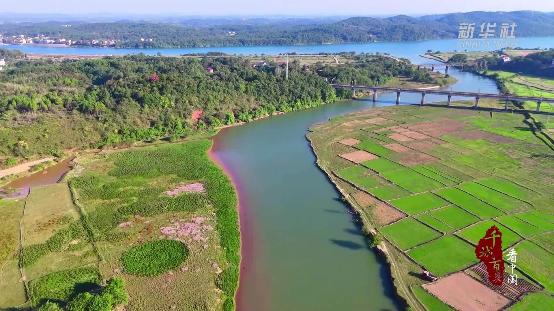 千城百县看中国｜湖南冷水滩：晚秋蓼花开 乡村生态美