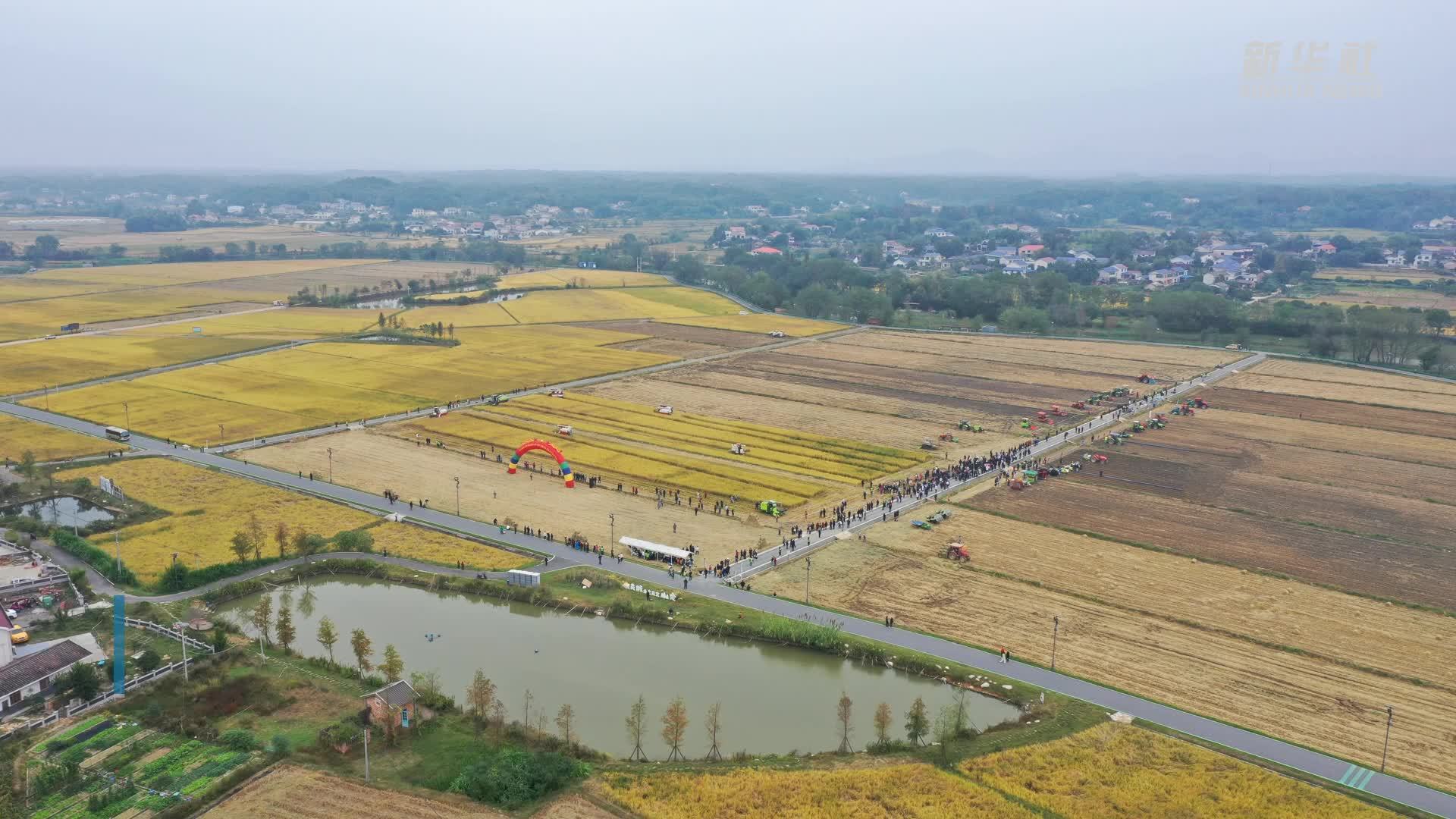 粮油经全程机械化培训展示关键技术装备