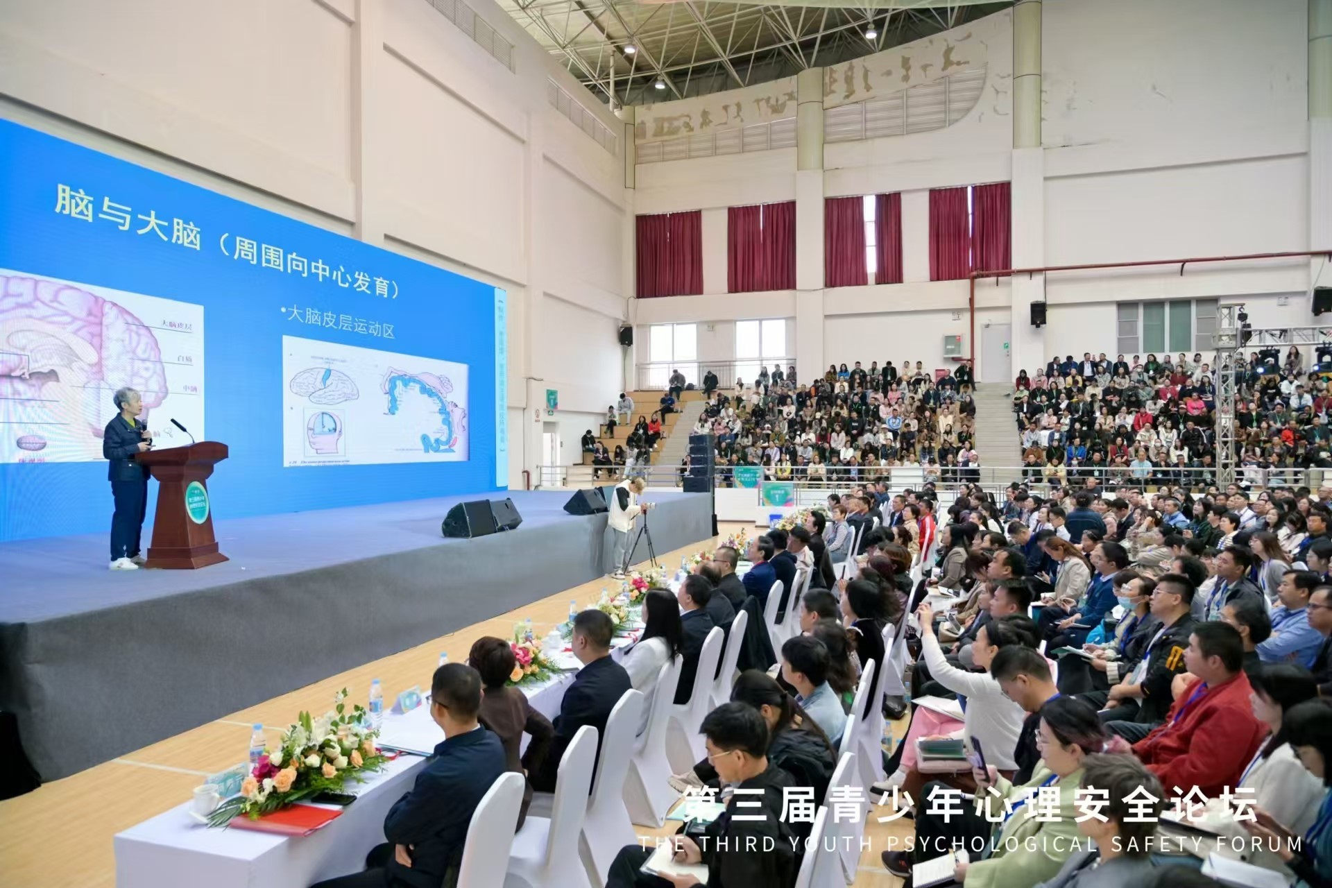 聚焦“问题学生和问题教育” 第三届青少年心理安全论坛举办