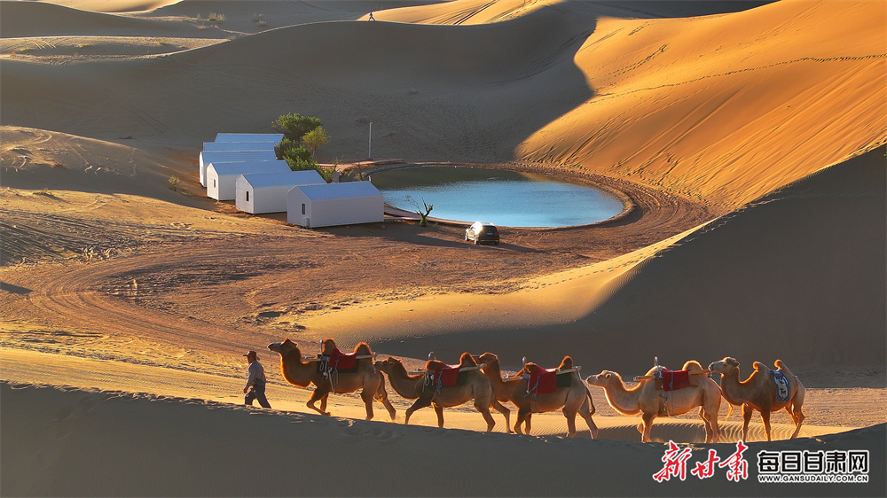 沙漠驼铃响　秋日好风光