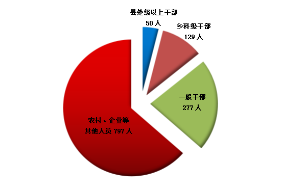 全市纪检监察机关处分人员按职级划分图