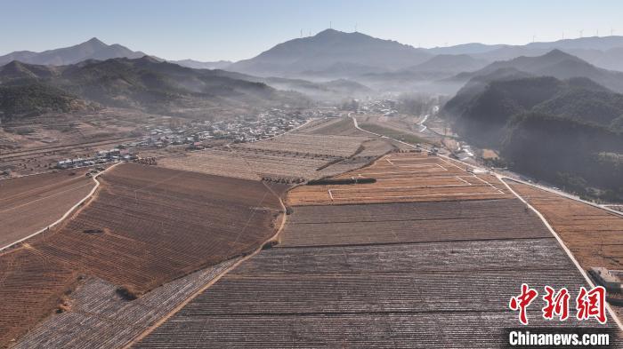 河北青龙：燕山腹地喜获致富“药”方