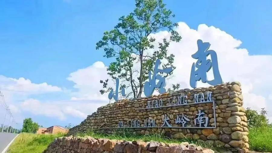 "日前,来自蜀山区的百余名小学生走出课堂,来到"大,小岭南研学游"教育