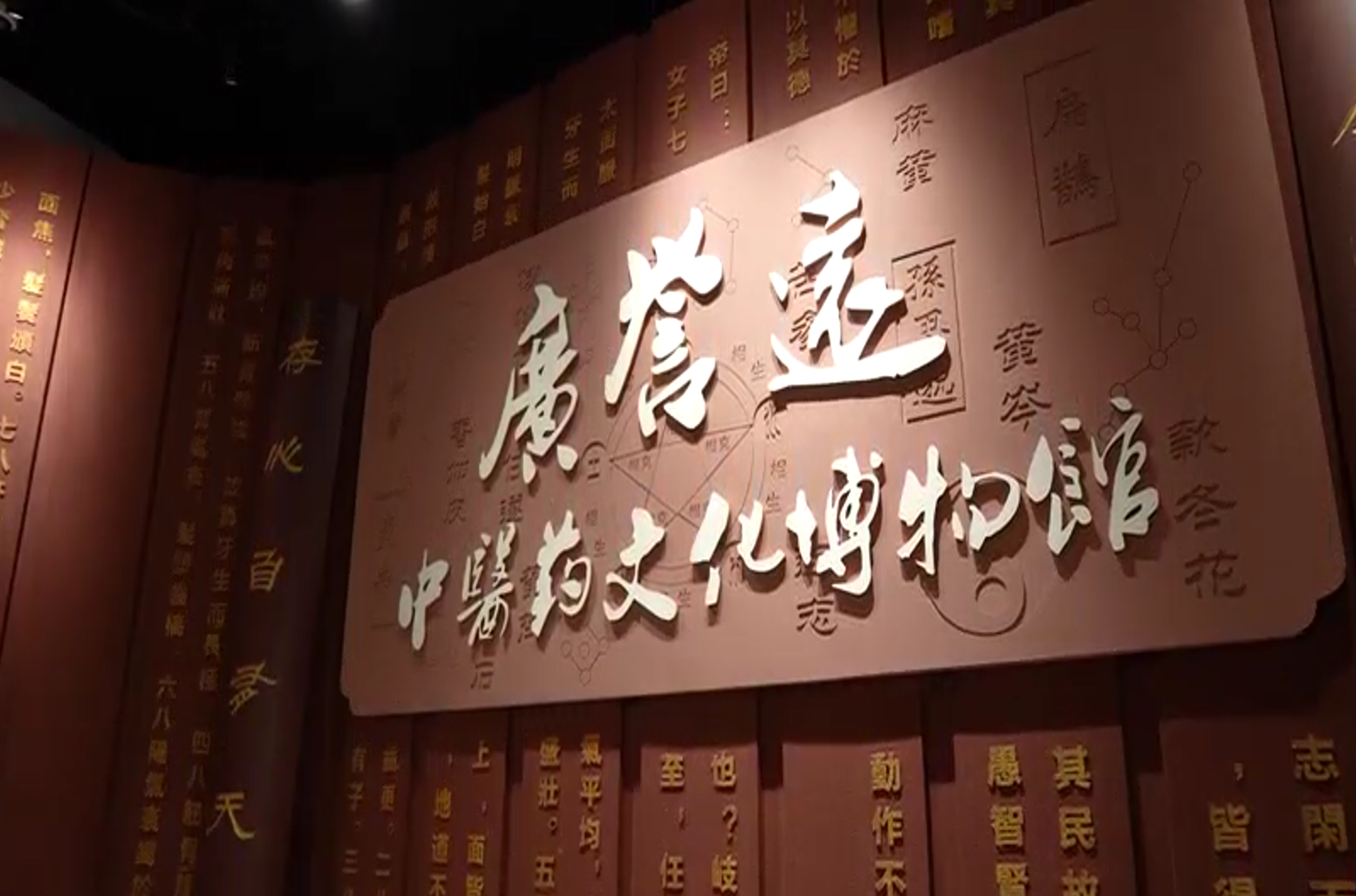 走进广誉远山西博物馆感受中医药文化匠心传承