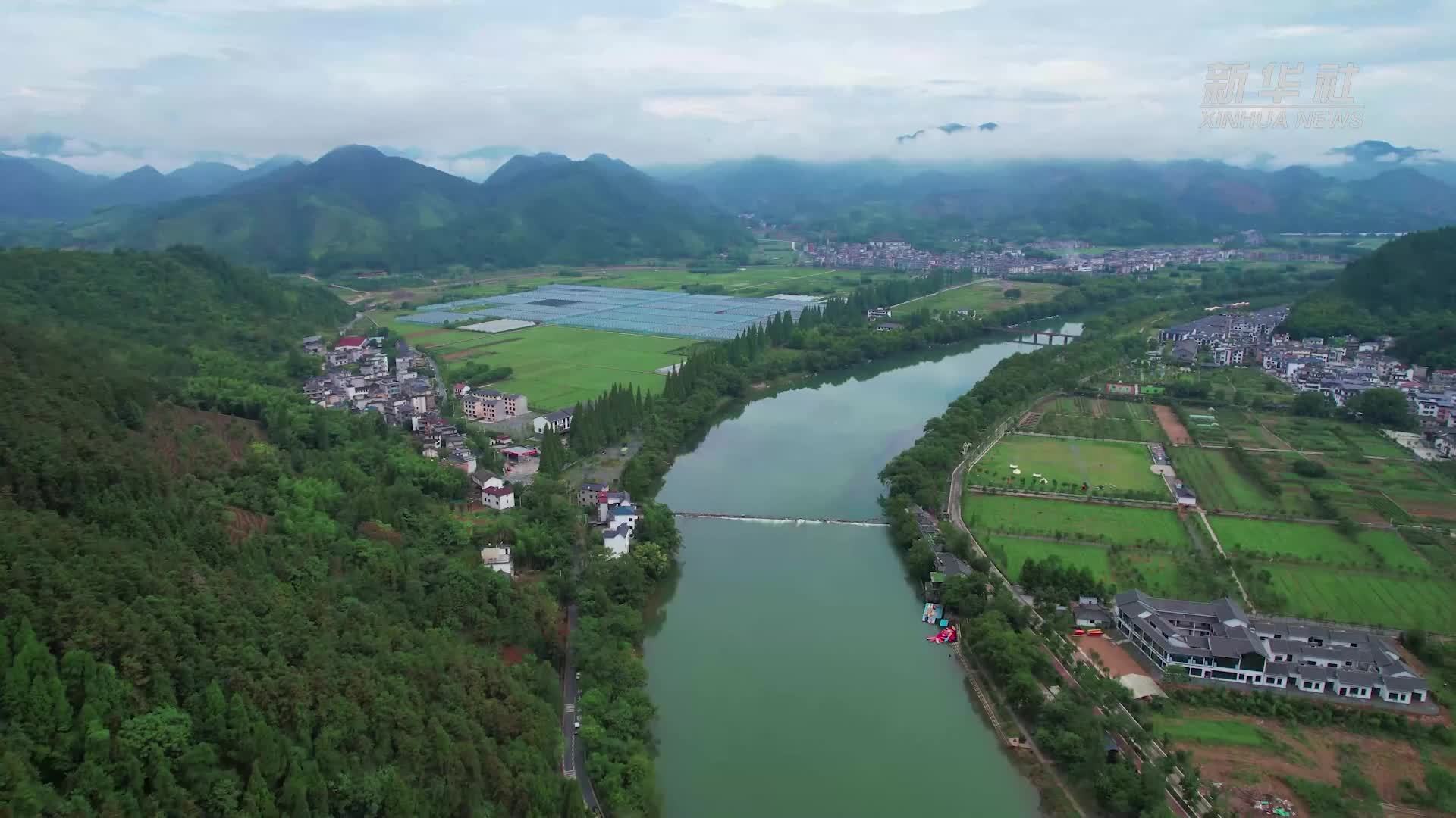 浙江衢州：“万企兴万村”激活乡村振兴新动能