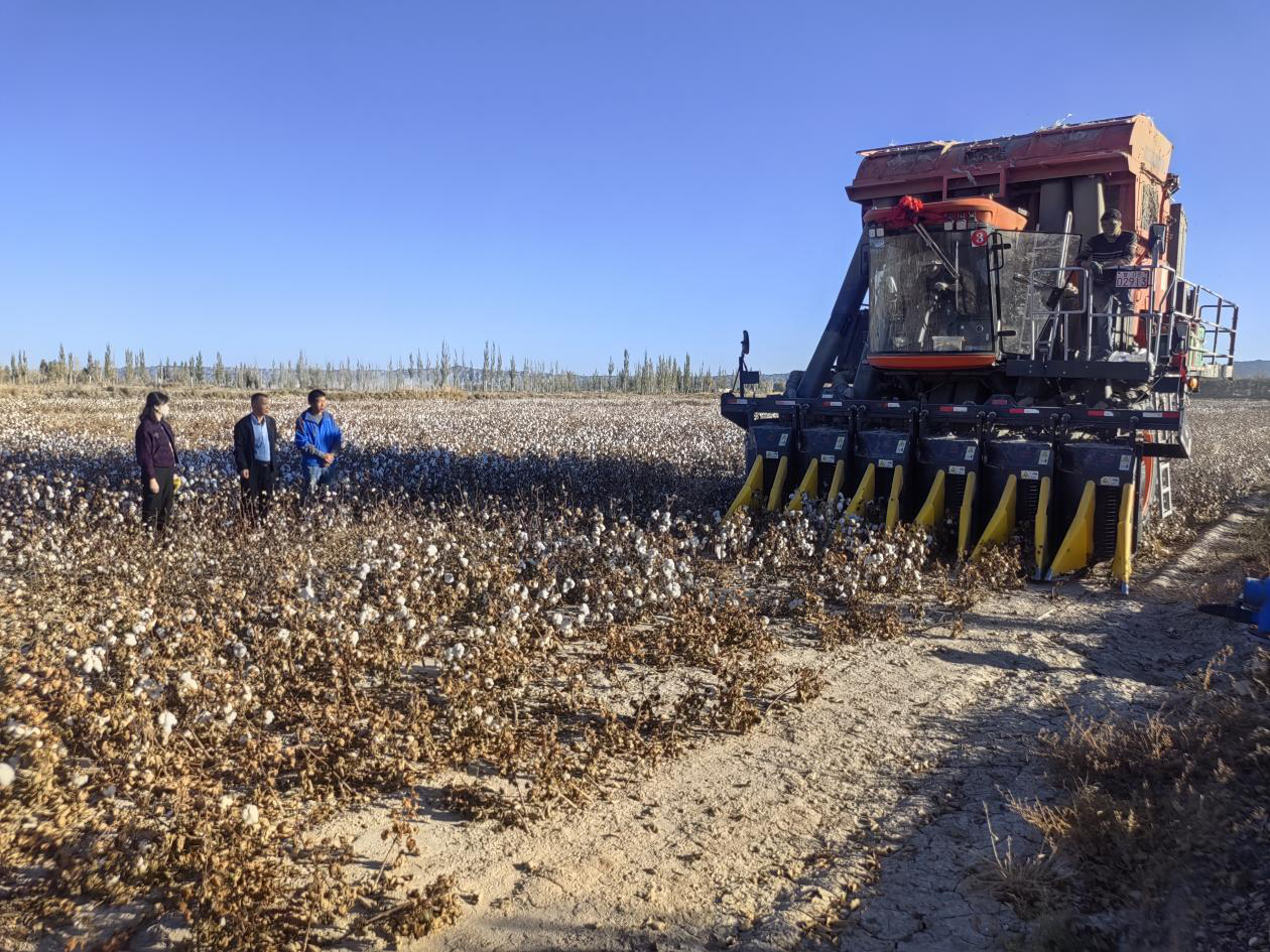 多亏了供销社 让在外奔波人家的地里还有好收成