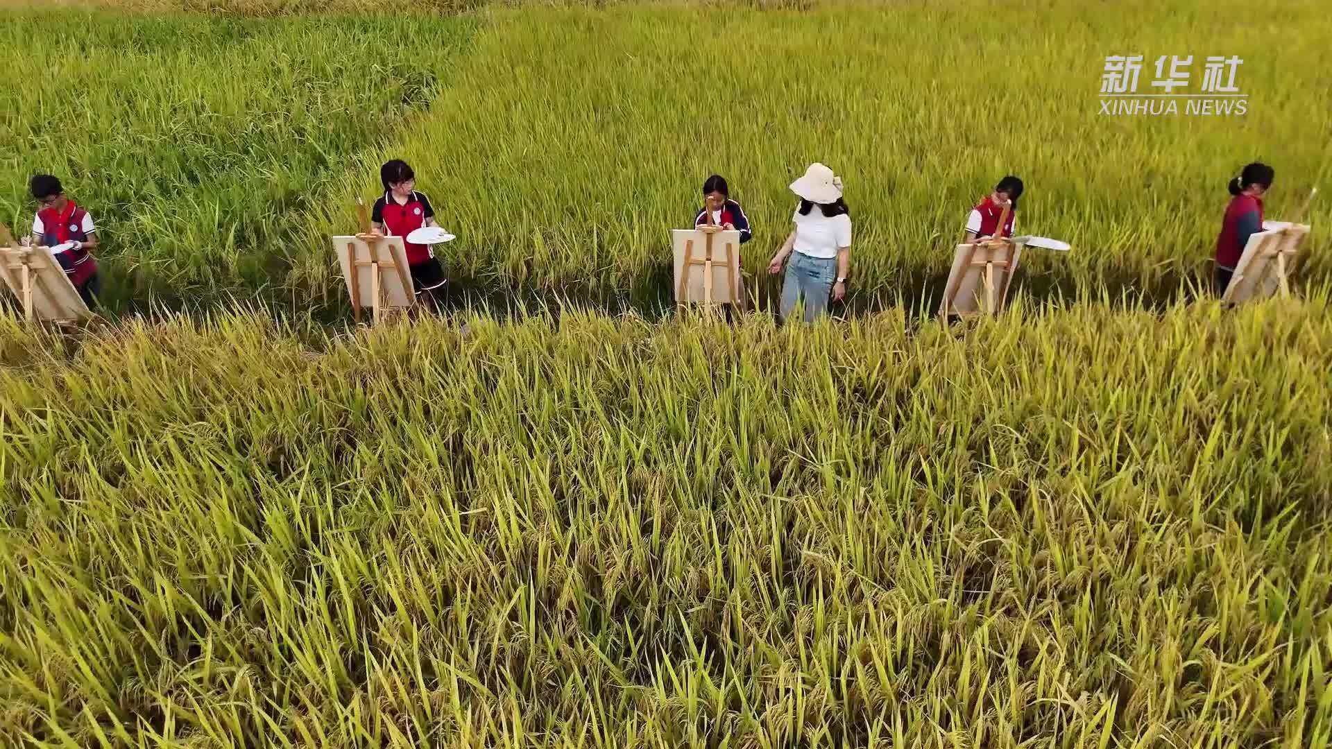江西余干：课堂搬进秋日田野