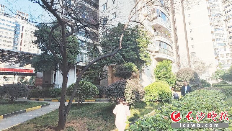 经过全面提质改造，天心区海利华宫小区焕然一新。长沙晚报全媒体记者 孙占锋 摄