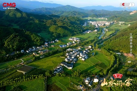 花生丰收，白鹭翩跹，《山水间的家》邀您赴绿色乡村，赏生态画卷！
