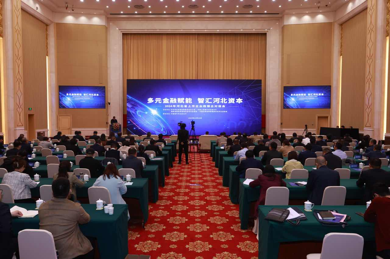 2024年河北省上市企业政银企对接会现场 高源/供图