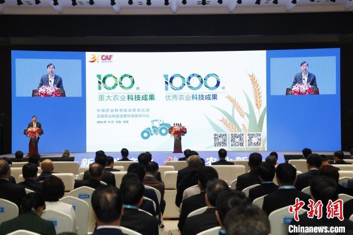 图为活动现场。主办方供图