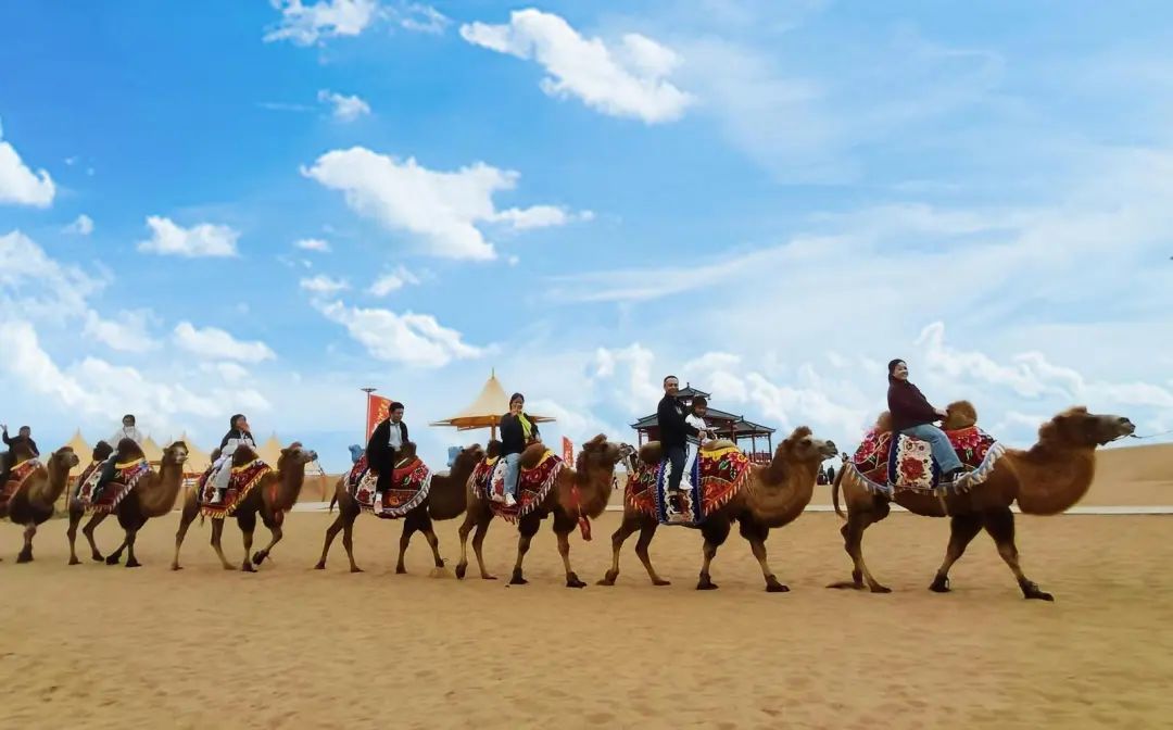 西凉女国骆驼骑行