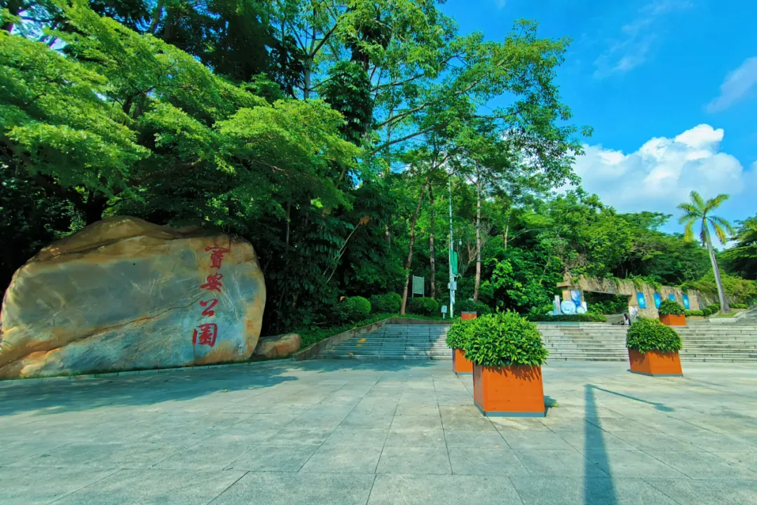 现代城市管理新视角：深圳宝安以精细化公园管理打造城市新风貌