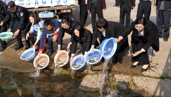常德“母亲河”澧水多了15万余尾鱼，环资审判护航绿色发展