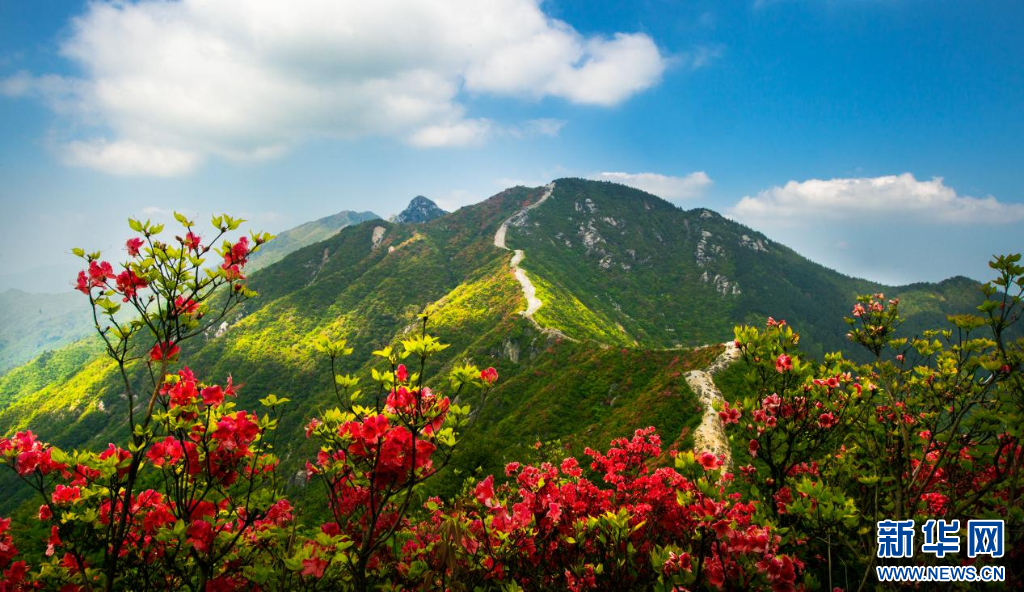 治理后的黃龍山。新華網發