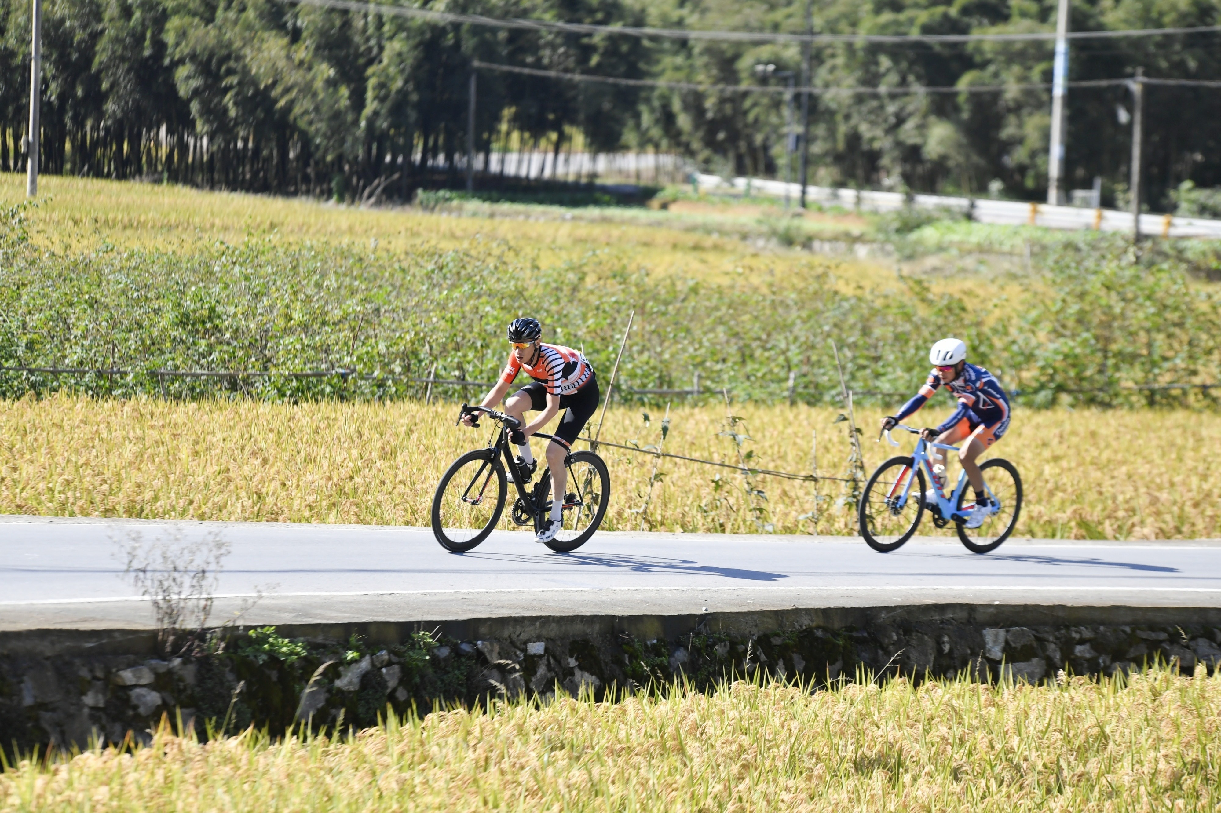 杭州桐庐:2024生仙里公路自行车赛火热开赛