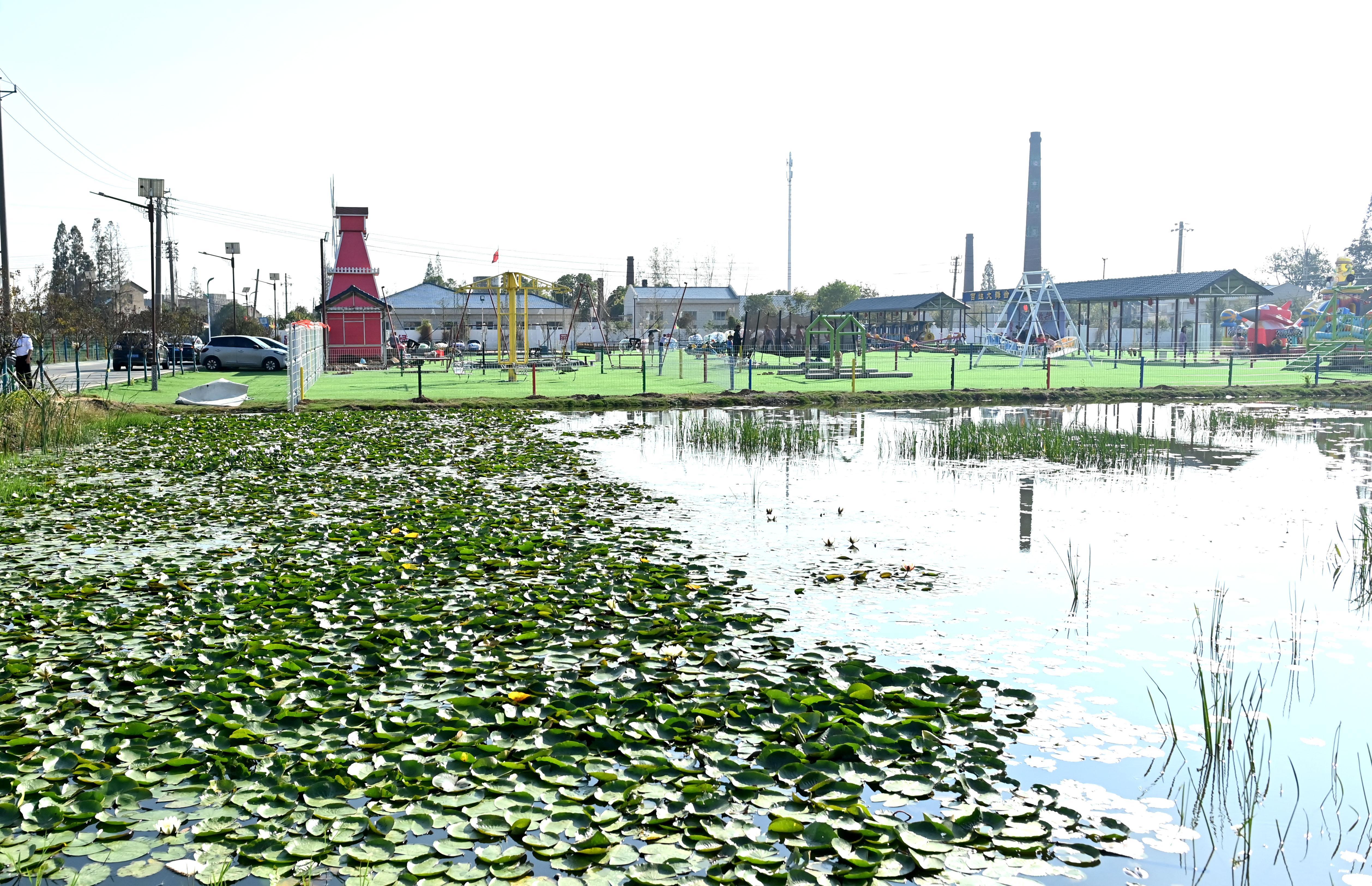 10月25日，在云梦县“万亩百亿”现代农业产业园,众兴菌业科技有限公司工人正在温控房忙着采摘双孢菇。该公司是一家从事食用菌的生产销售和研究开发的农业高新技术企业，一期于今年10月投产以来，日产量60吨，预计年产能可达2.16万吨,产值2亿元。全媒体记者李文勇摄