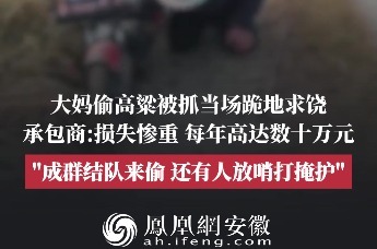 安徽一大妈偷高粱被抓当场跪地求饶
