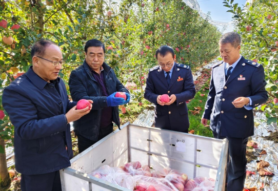 税务干部深入果园走访了解苹果产业发展情况