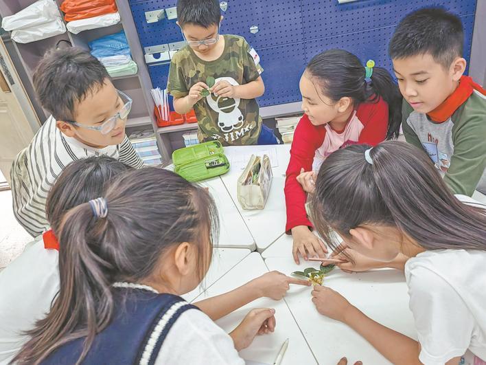 同学们用桂花制作各种工艺品 通讯员供图