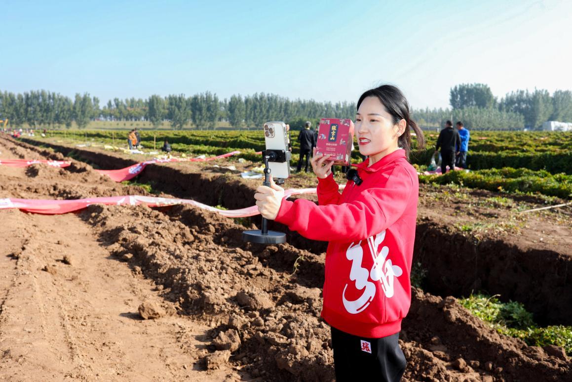 在山药种植基地直播销售中